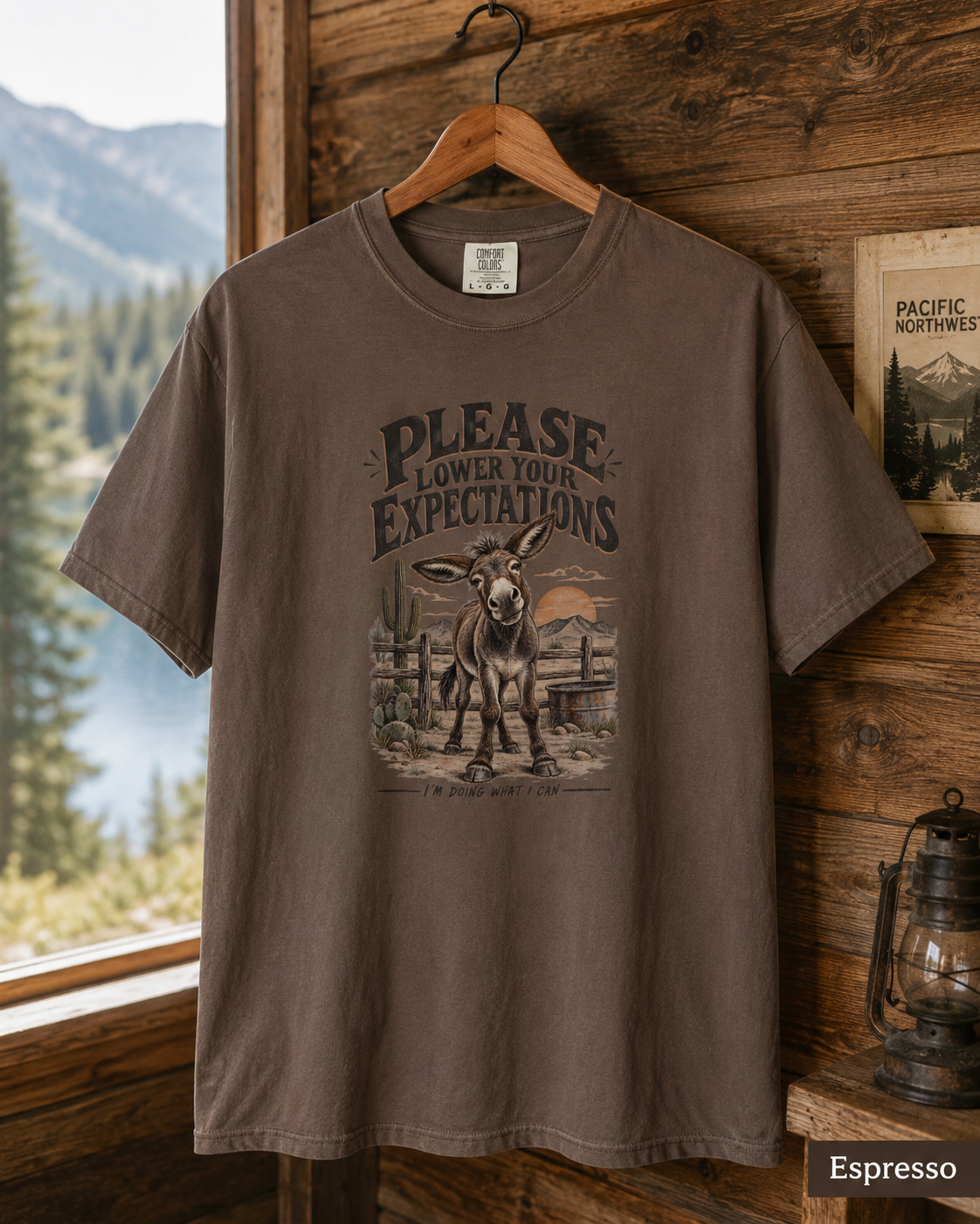 Please Lower Your Expectations T-Shirt — Funny Desert Donkey Graphic Tee