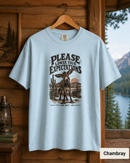 Please Lower Your Expectations T-Shirt — Funny Desert Donkey Graphic Tee