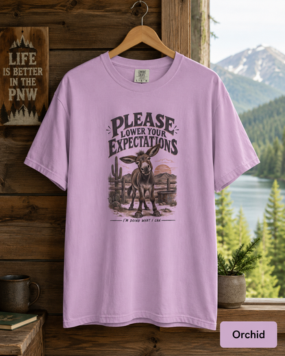 Please Lower Your Expectations T-Shirt — Funny Desert Donkey Graphic Tee