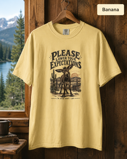 Please Lower Your Expectations T-Shirt — Funny Desert Donkey Graphic Tee