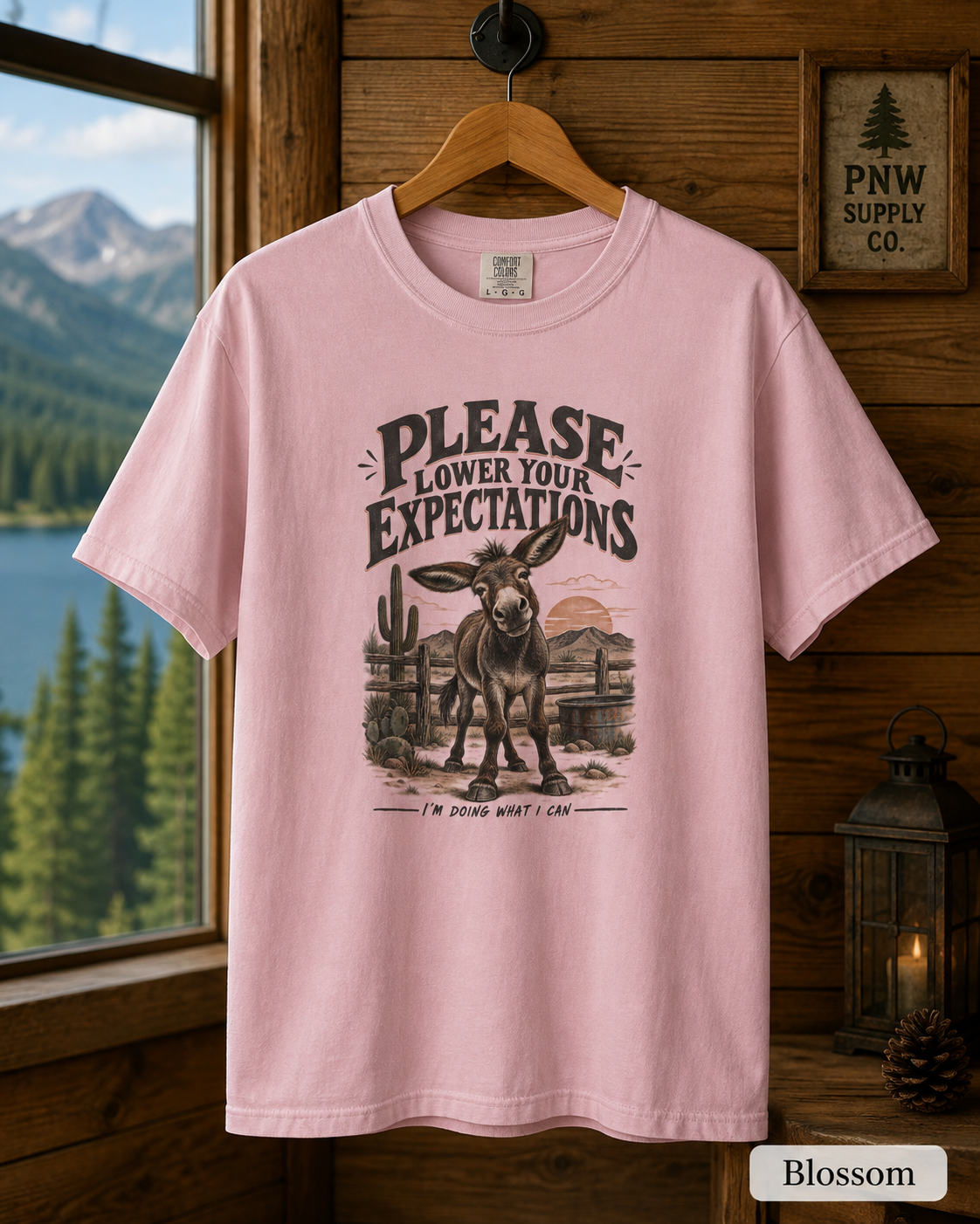 Please Lower Your Expectations T-Shirt — Funny Desert Donkey Graphic Tee