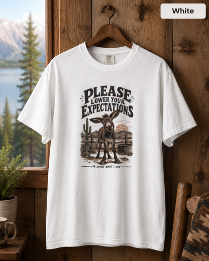 Please Lower Your Expectations T-Shirt — Funny Desert Donkey Graphic Tee